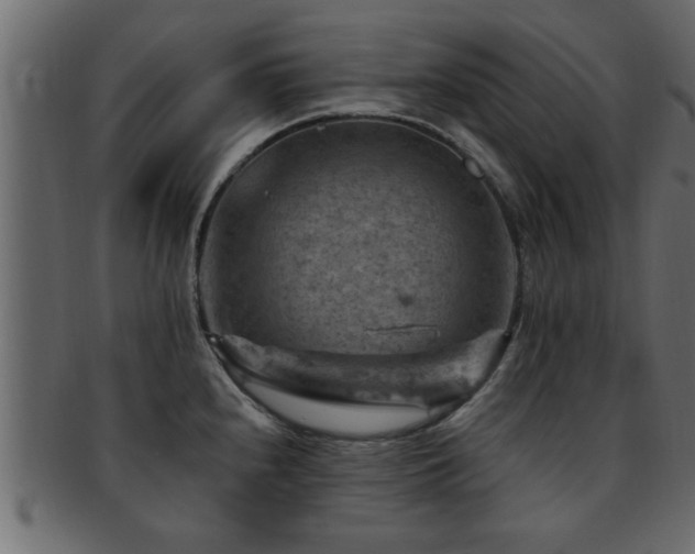 X0000093171240200709261522