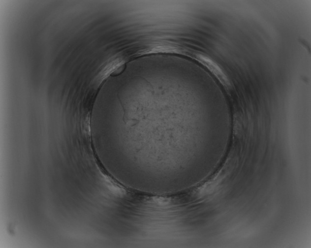 X0000093171241200709261522
