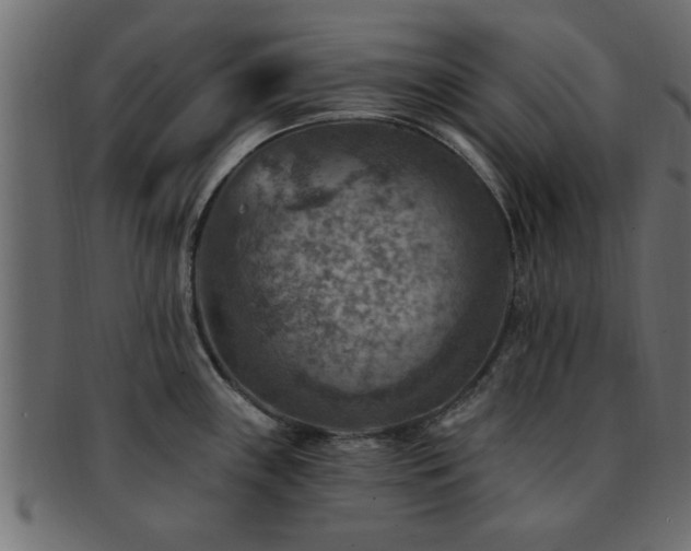 X0000093171243200709261522