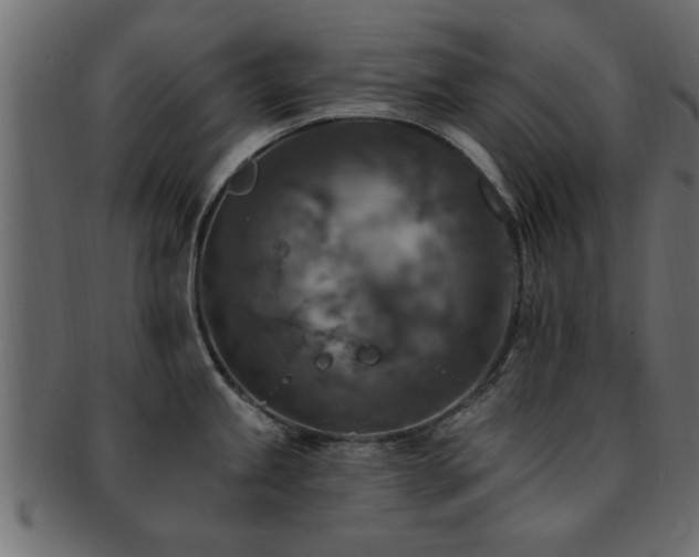 X0000093171245200709261522