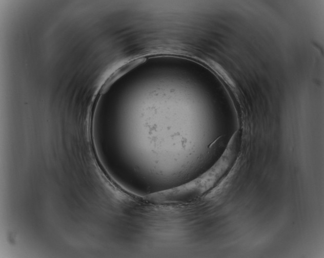 X0000093171246200709261522