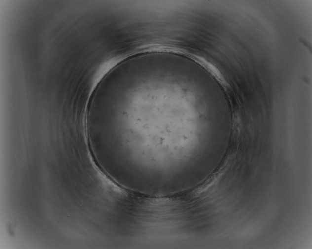 X0000093171247200709261522