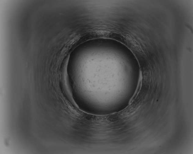 X0000093171249200709261521
