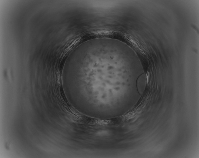 X0000093171251200709261521