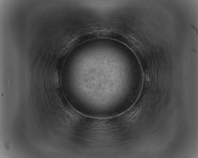 X0000093171252200709261521