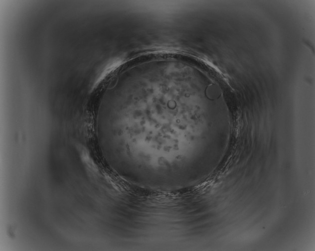 X0000093171255200709261521