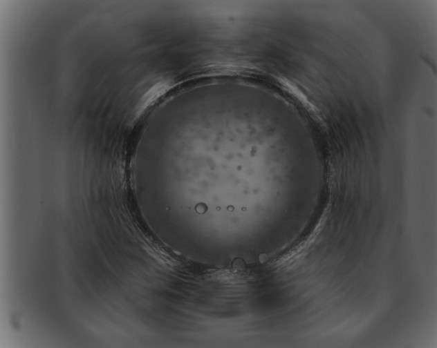 X0000093171259200709261521