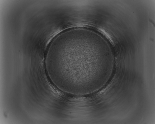 X0000093171260200709261521