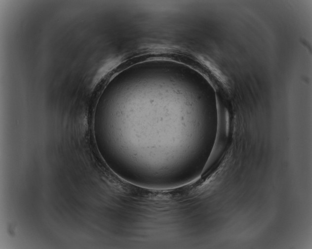 X0000093171261200709261521
