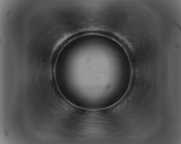 X0000093171262200709261521