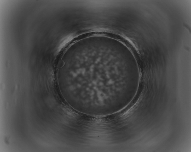 X0000093171263200709261521