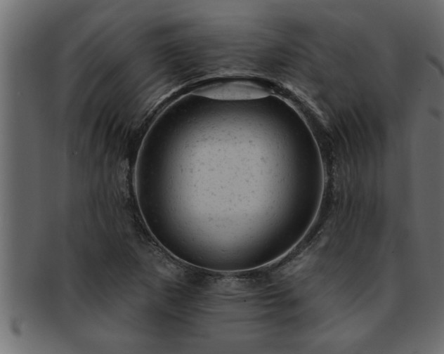 X0000093171265200709261521