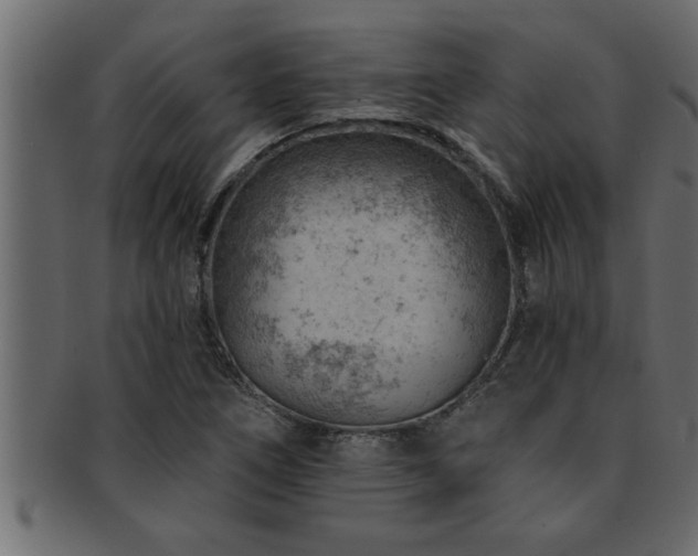 X0000093171266200709261521