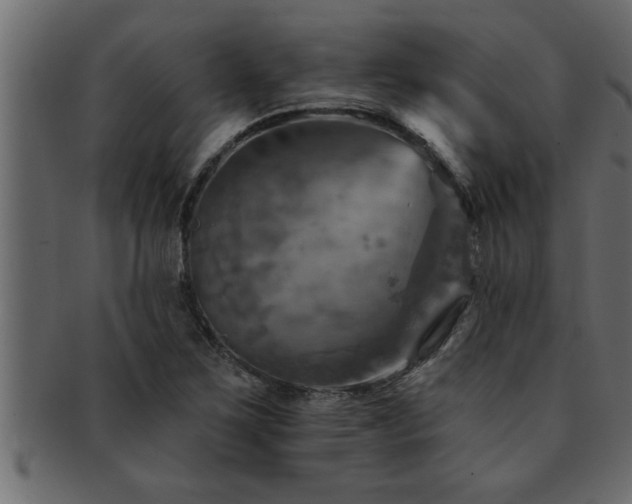 X0000093171267200709261521