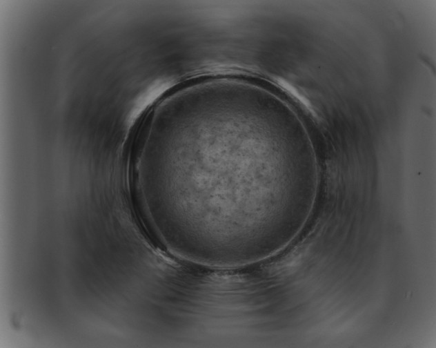 X0000093171269200709261521