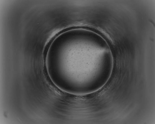 X0000093171270200709261521