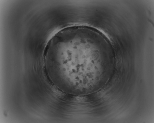 X0000093171271200709261521