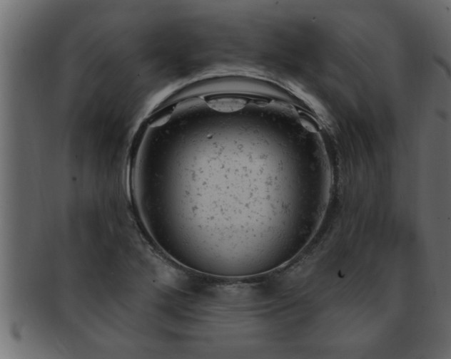 X0000093171272200709261521