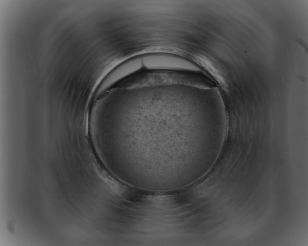 X0000093171276200709261521