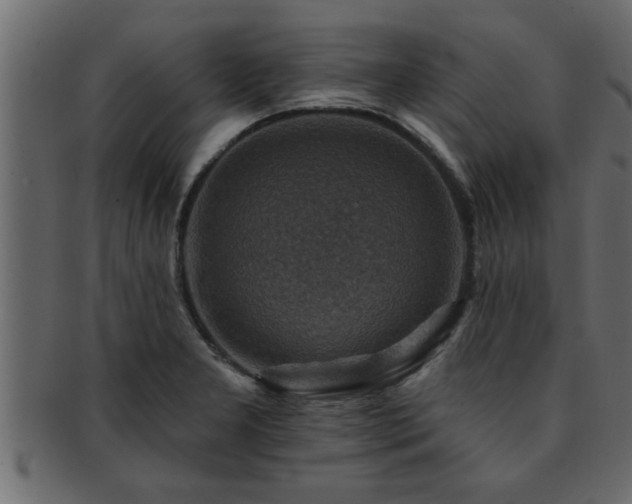 X0000093171277200709261521