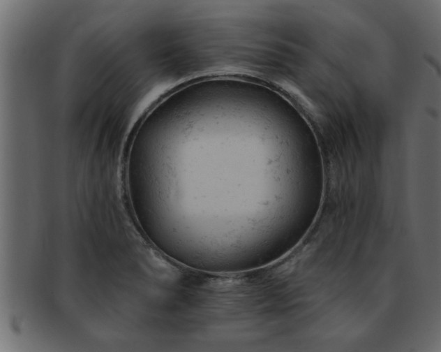 X0000093171278200709261521