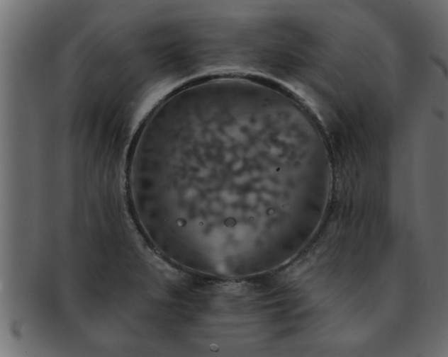 X0000093171279200709261521