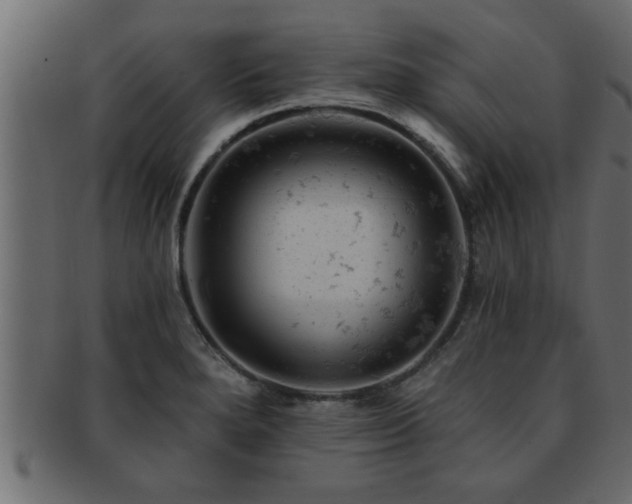 X0000093171280200709261521