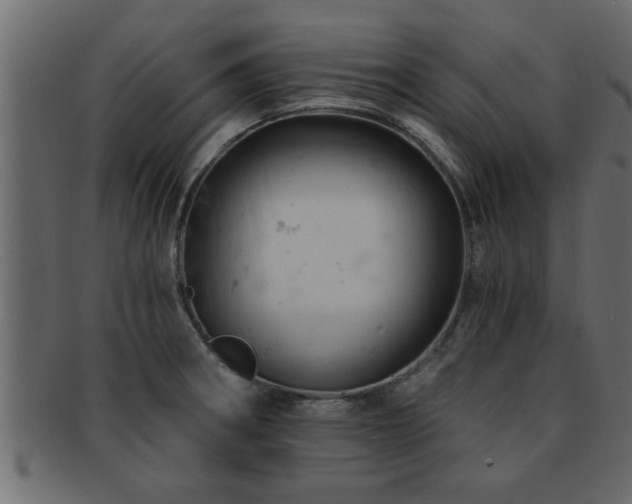 X0000093171282200709261521