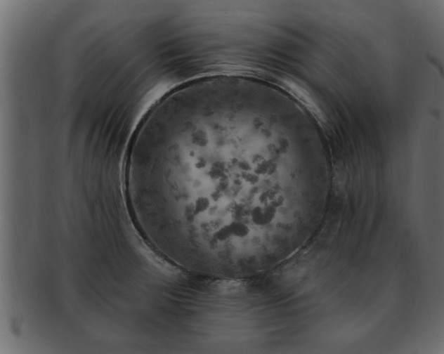 X0000093171283200709261521