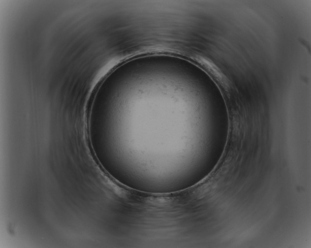 X0000093171286200709261521