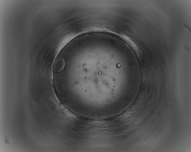 X0000093171287200709261521