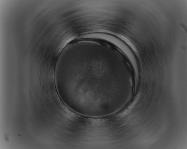 X0000093171289200709261521