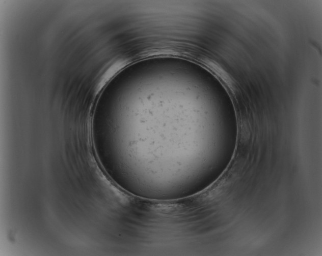 X0000093171290200709261521