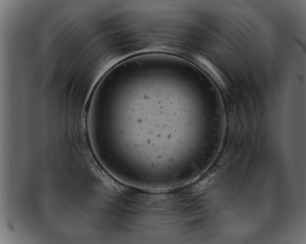 X0000093171292200709261521
