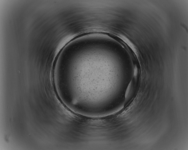 X0000093171293200709261521