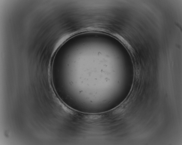 X0000093171294200709261521