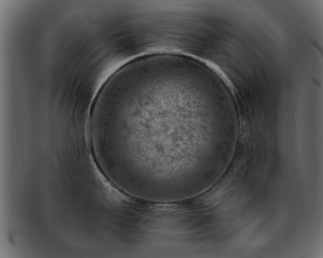 X0000093171295200709261521