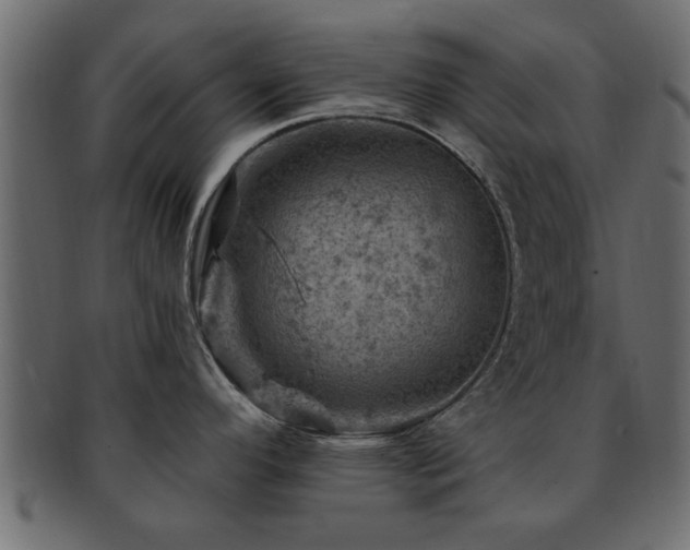 X0000093171296200709261521