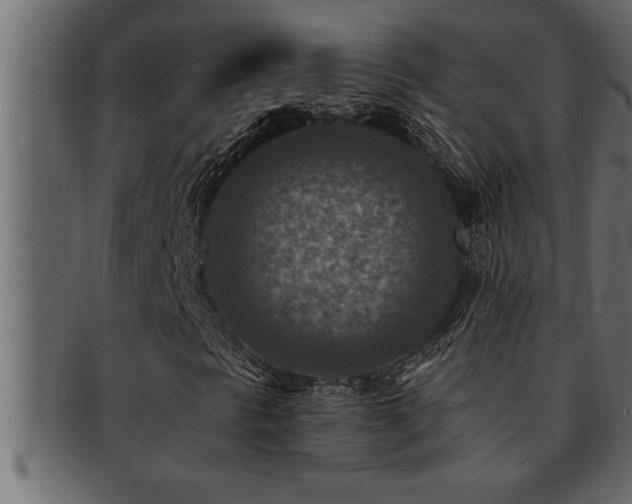 X0000093171297200709261520