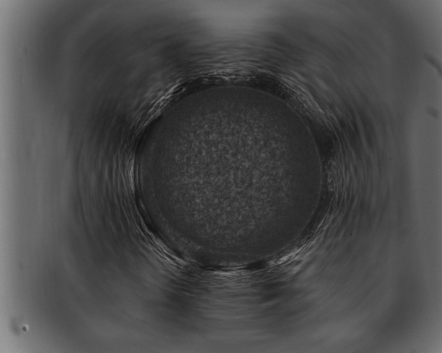 X0000093171298200709261520