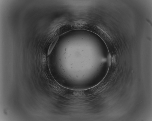 X0000093171299200709261520