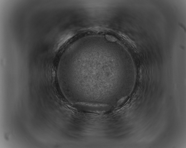 X0000093171302200709261520