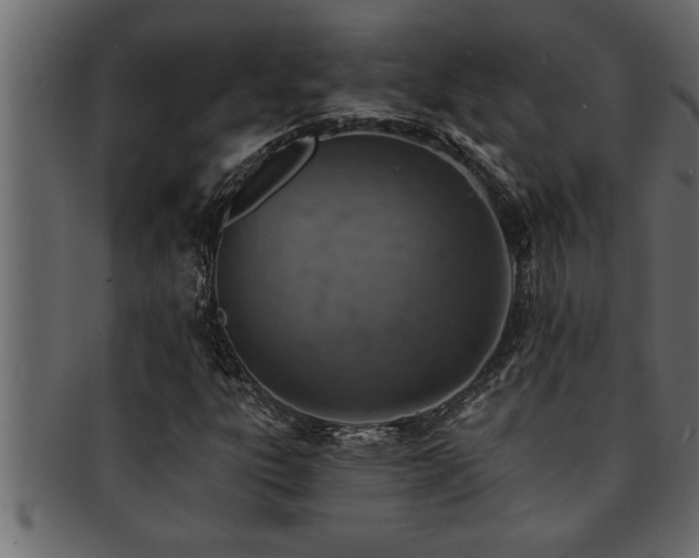 X0000093171303200709261520