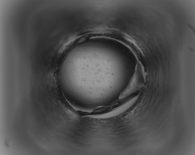 X0000093171304200709261520
