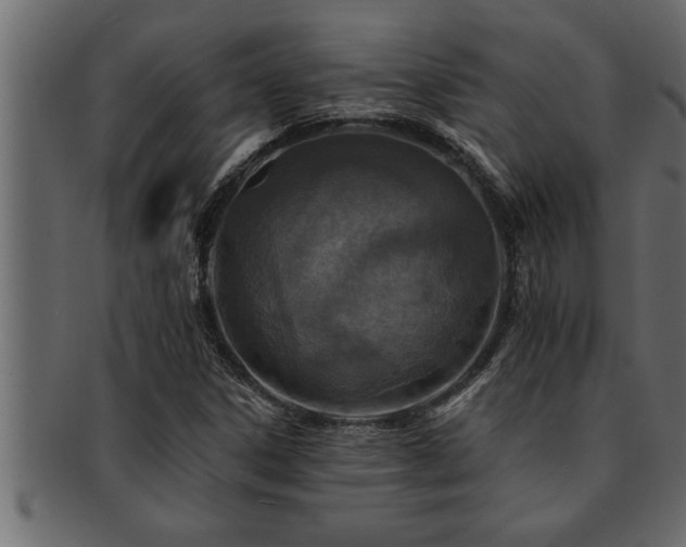 X0000093171306200709261520