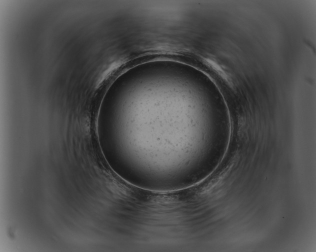 X0000093171307200709261520