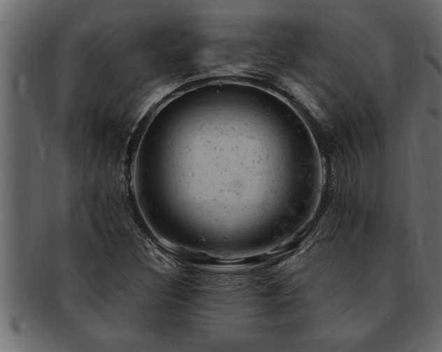X0000093171308200709261520