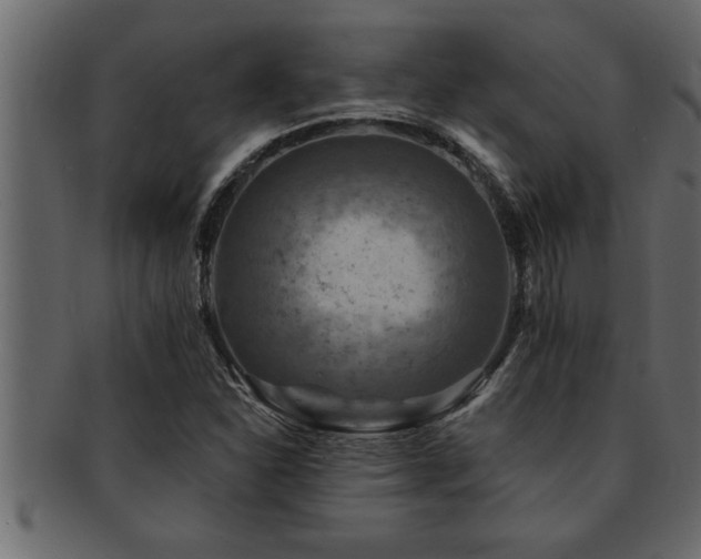 X0000093171310200709261520