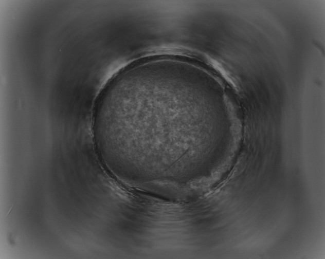 X0000093171312200709261520