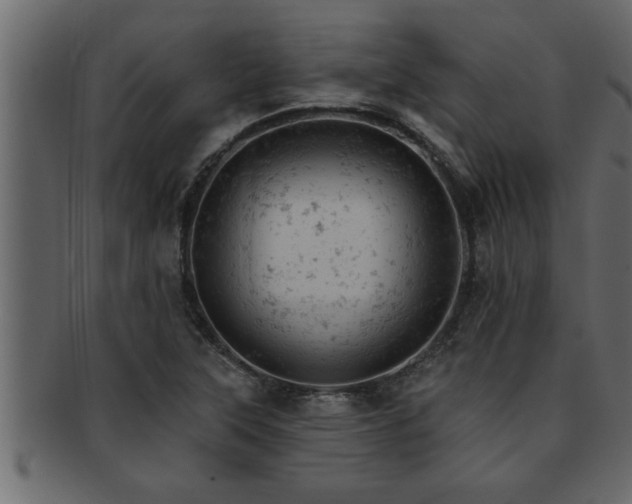 X0000093171315200709261520